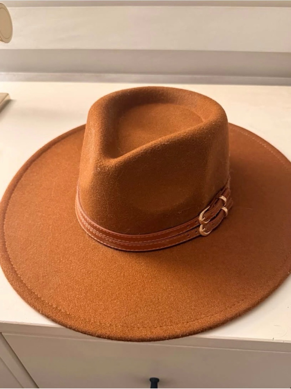 Wide Brim Felt Fedora Hat in Brown